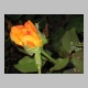 backporch_415.jpg