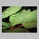 backporch_416.jpg