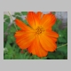 backporch_418.jpg