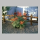 backporch_419.jpg