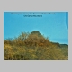 http://www.holyowned.us/Benson_06/chiricahua_015.jpg