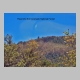 http://www.holyowned.us/Benson_06/chiricahua_019.jpg