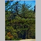 http://www.holyowned.us/Benson_06/chiricahua_027.jpg