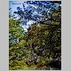 http://www.holyowned.us/Benson_06/chiricahua_029.jpg