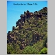 http://www.holyowned.us/Benson_06/chiricahua_030.jpg