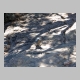 http://www.holyowned.us/Benson_06/chiricahua_041.jpg