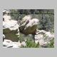 http://www.holyowned.us/Benson_06/chiricahua_048.jpg