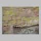 http://www.holyowned.us/Benson_06/chiricahua_058.jpg