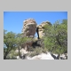 http://www.holyowned.us/Benson_06/chiricahua_077.jpg