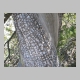 http://www.holyowned.us/Benson_06/chiricahua_081.jpg