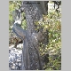 http://www.holyowned.us/Benson_06/chiricahua_082.jpg
