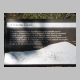 http://www.holyowned.us/Benson_06/chiricahua_085.jpg