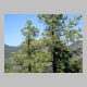 http://www.holyowned.us/Benson_06/chiricahua_088.jpg