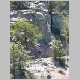 http://www.holyowned.us/Benson_06/chiricahua_090.jpg