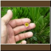 ind_pass_038.jpg